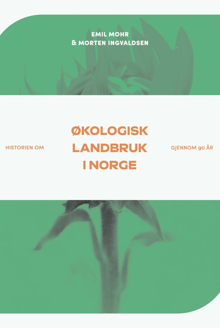 Okobok Cover