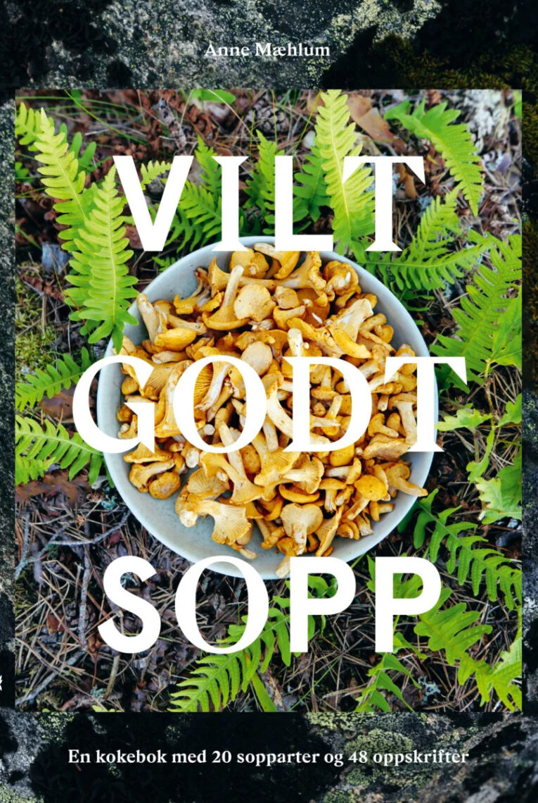 Vilt godt sopp