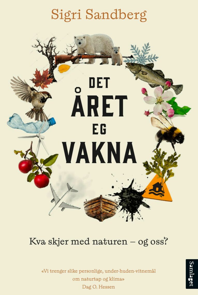 Det aret eg vakna