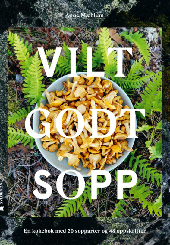 Vilt godt sopp