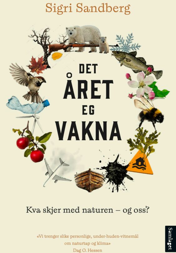 Det aret eg vakna