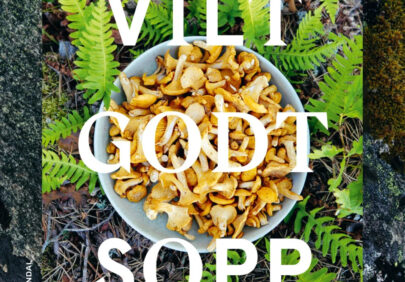 Vilt godt sopp