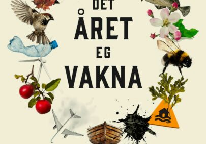 Det aret eg vakna