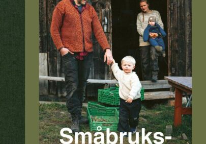 Smabruksdrommen