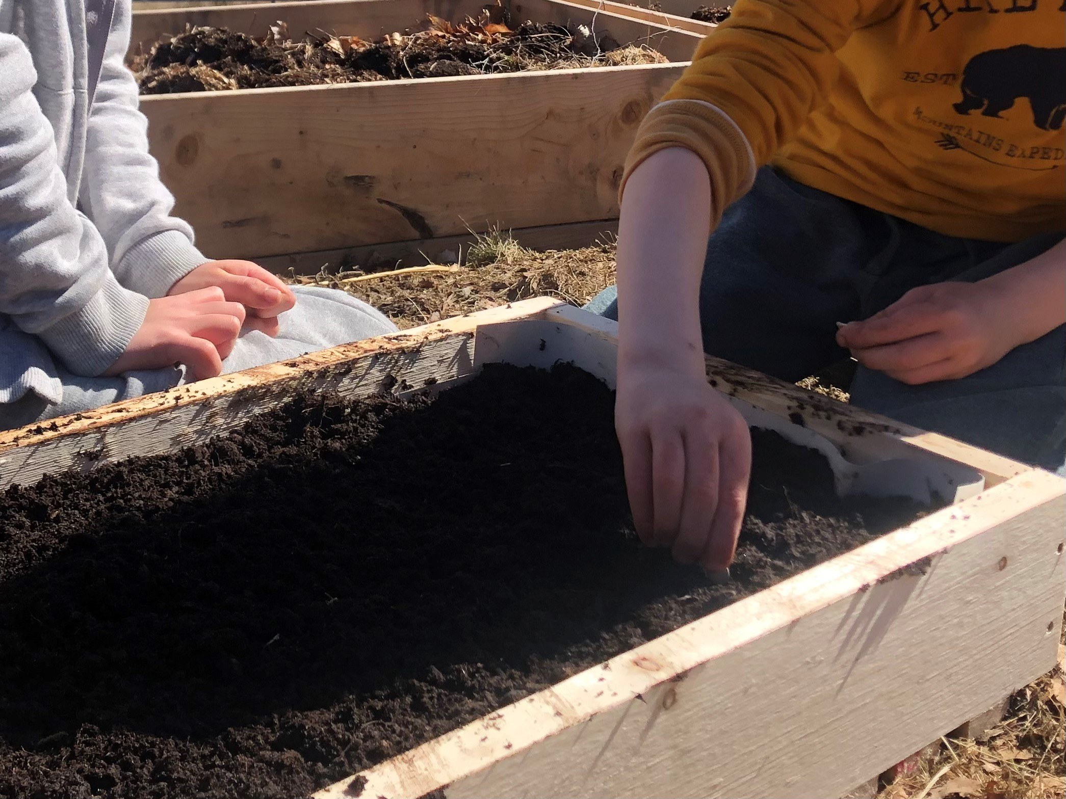 Brnehender planter frø i jorda