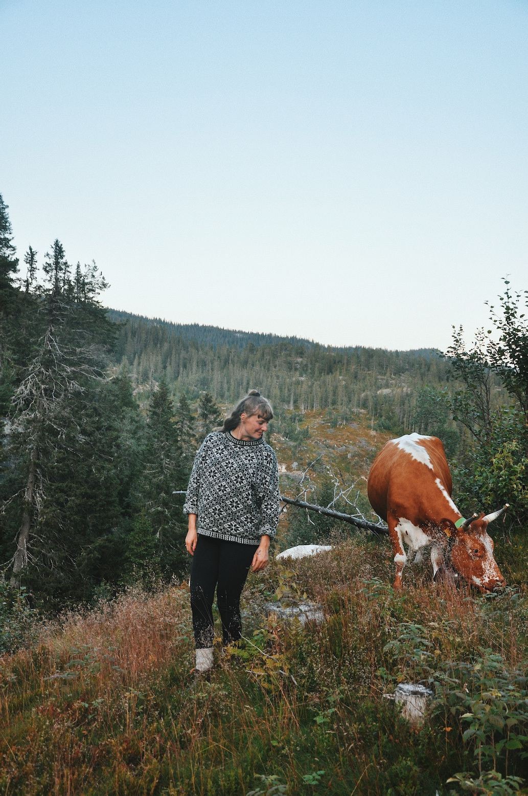 Kathrine Kinn ute på beite med kyr