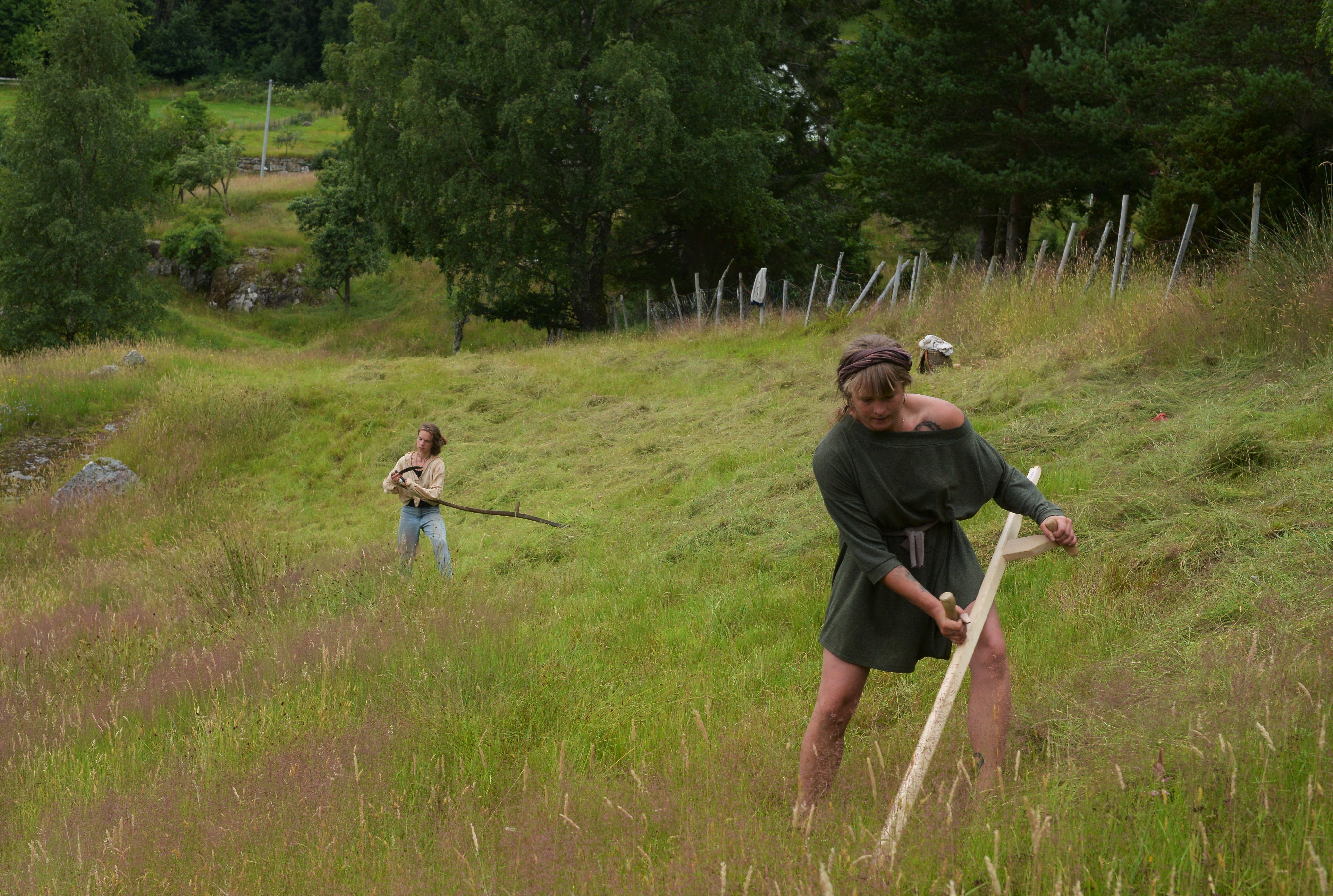 I åkeren på gardskollektivet