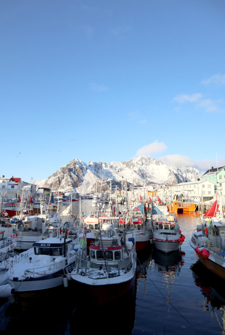 Havna I Henningsvr Lotte Shephard Ren Mat