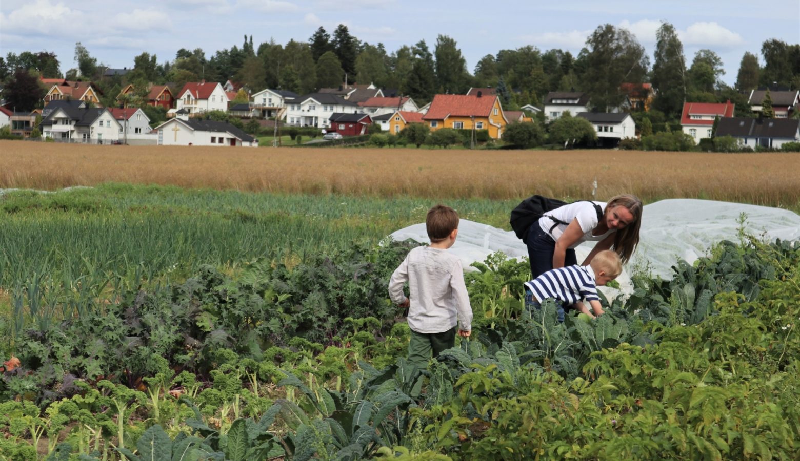 8 Andelslandbruk Bynaert Andelslandbruk Dysterjordet Pa A S Foto Emma Gerritsen