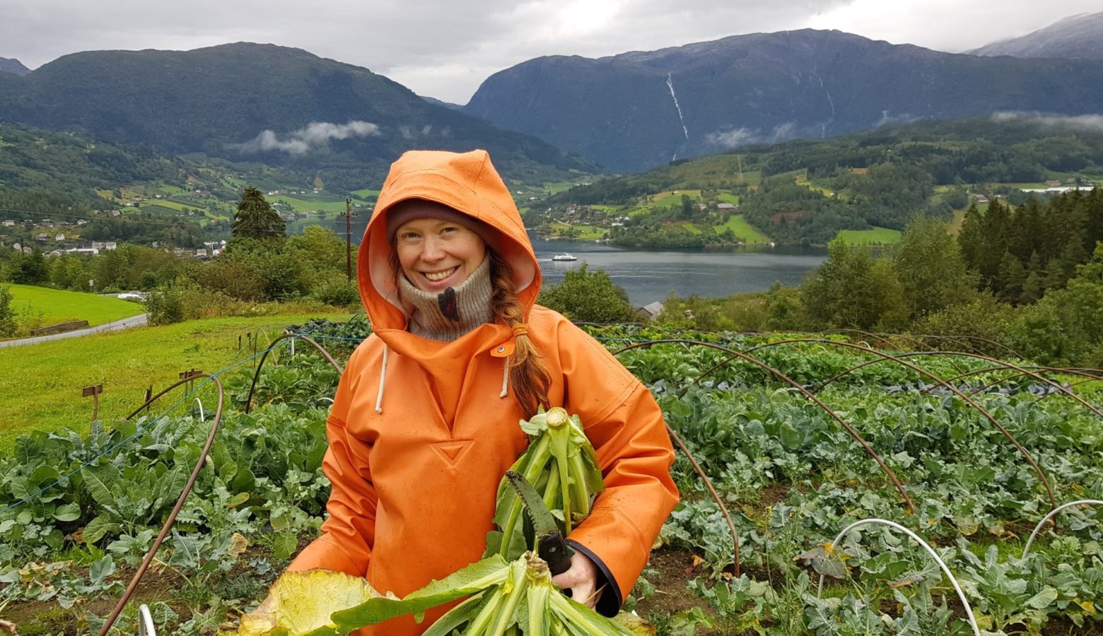 Foto Annabirgittemilford Nibio Renmat Ulvikandelslandbruk Katinka Kilian