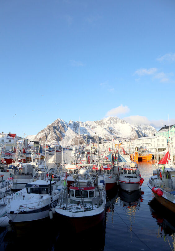 Havna I Henningsvr Lotte Shephard Ren Mat