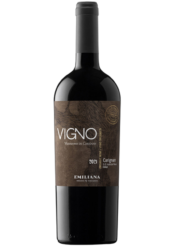 Emiliana Vigno scaled