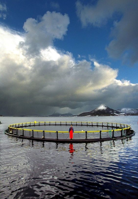 Lakseoppdrett Norge