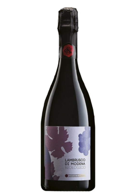 Lambrusco di Modena DOP Biologico Cantina di Carpi e Sorbara 0179 19 bakgrunn fjernet