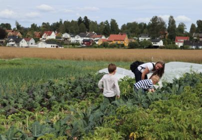 8 Andelslandbruk Bynaert Andelslandbruk Dysterjordet Pa A S Foto Emma Gerritsen