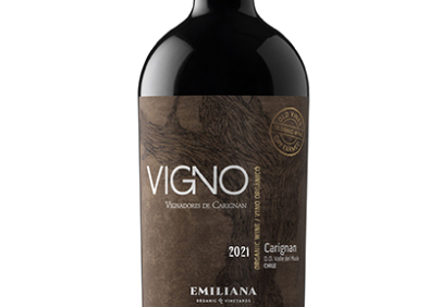 Emiliana Vigno scaled