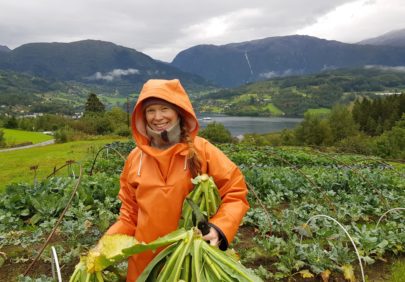 Foto Annabirgittemilford Nibio Renmat Ulvikandelslandbruk Katinka Kilian