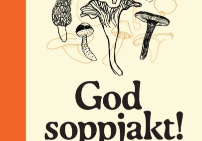 God soppjakt
