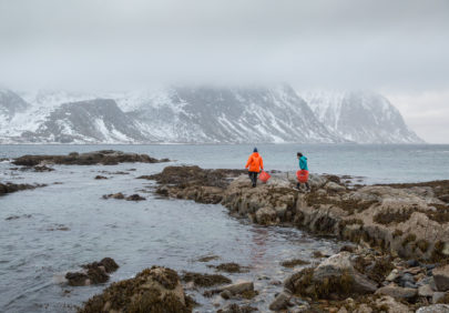 Lofoten Seaweed