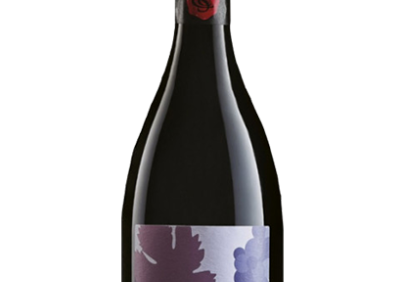Lambrusco di Modena DOP Biologico Cantina di Carpi e Sorbara 0179 19 bakgrunn fjernet
