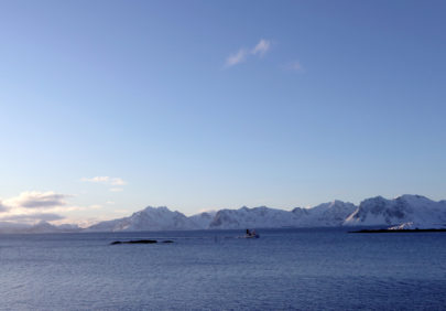 Lofoten sjark Foto Lotte Shephard Ren Mat