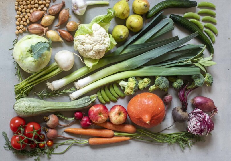 Foto Nadin Martinuzzi C34 A5403