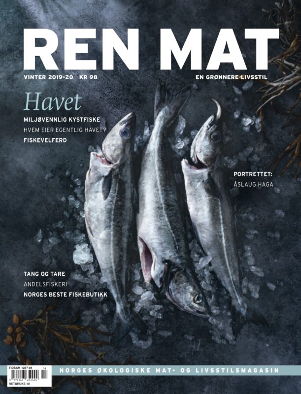 34 Ren Mat Nr34