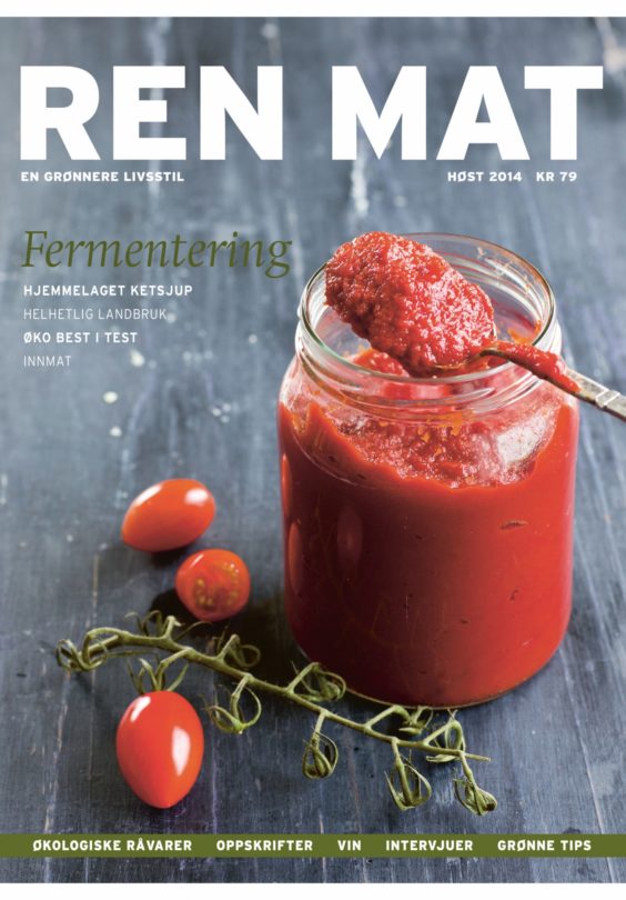 13 Cover Jpg