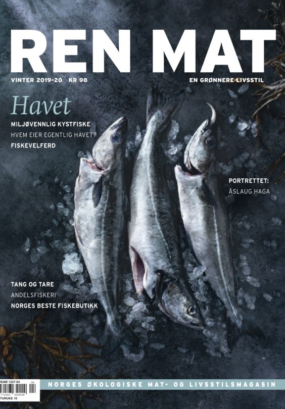 34 Ren Mat Nr34