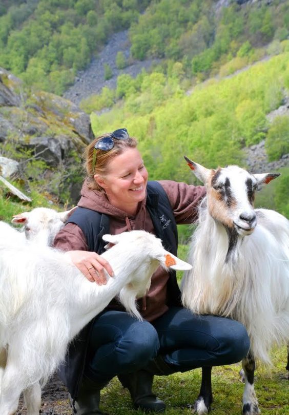 Ragna I Ramme
