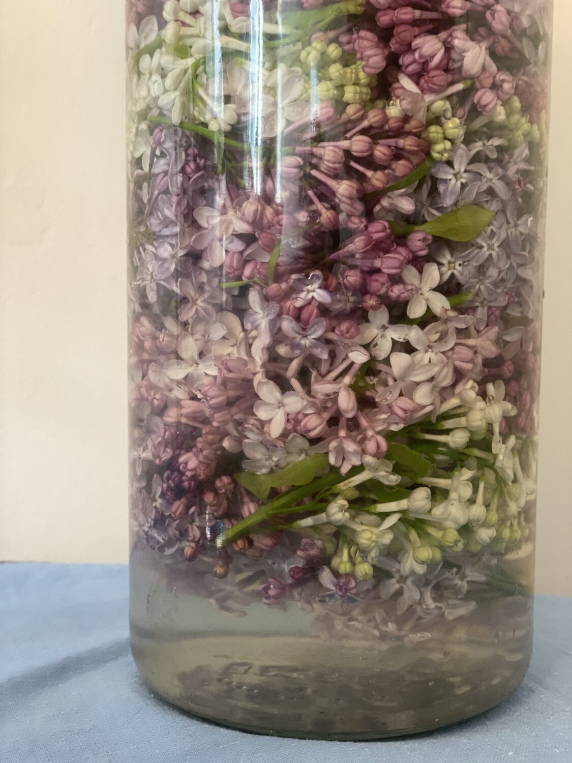 Syrinsaft