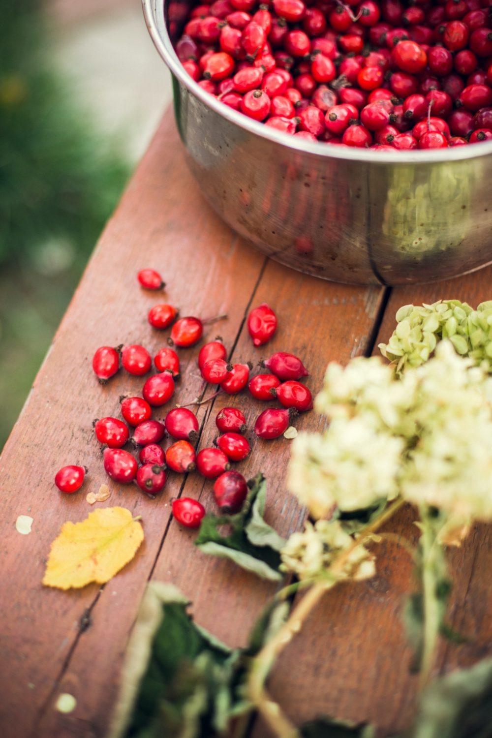 Nypesuppe Marina Khrapova Unsplash