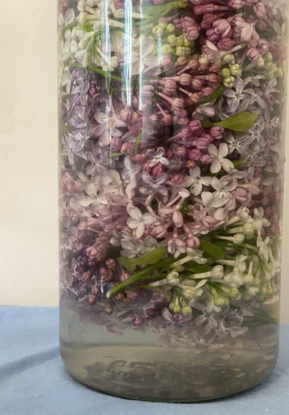 Syrinsaft