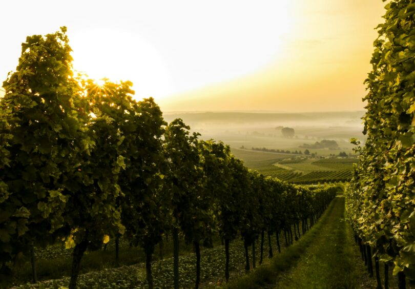 Sven wilhelm 2c RXS Wy MHA8 unsplash