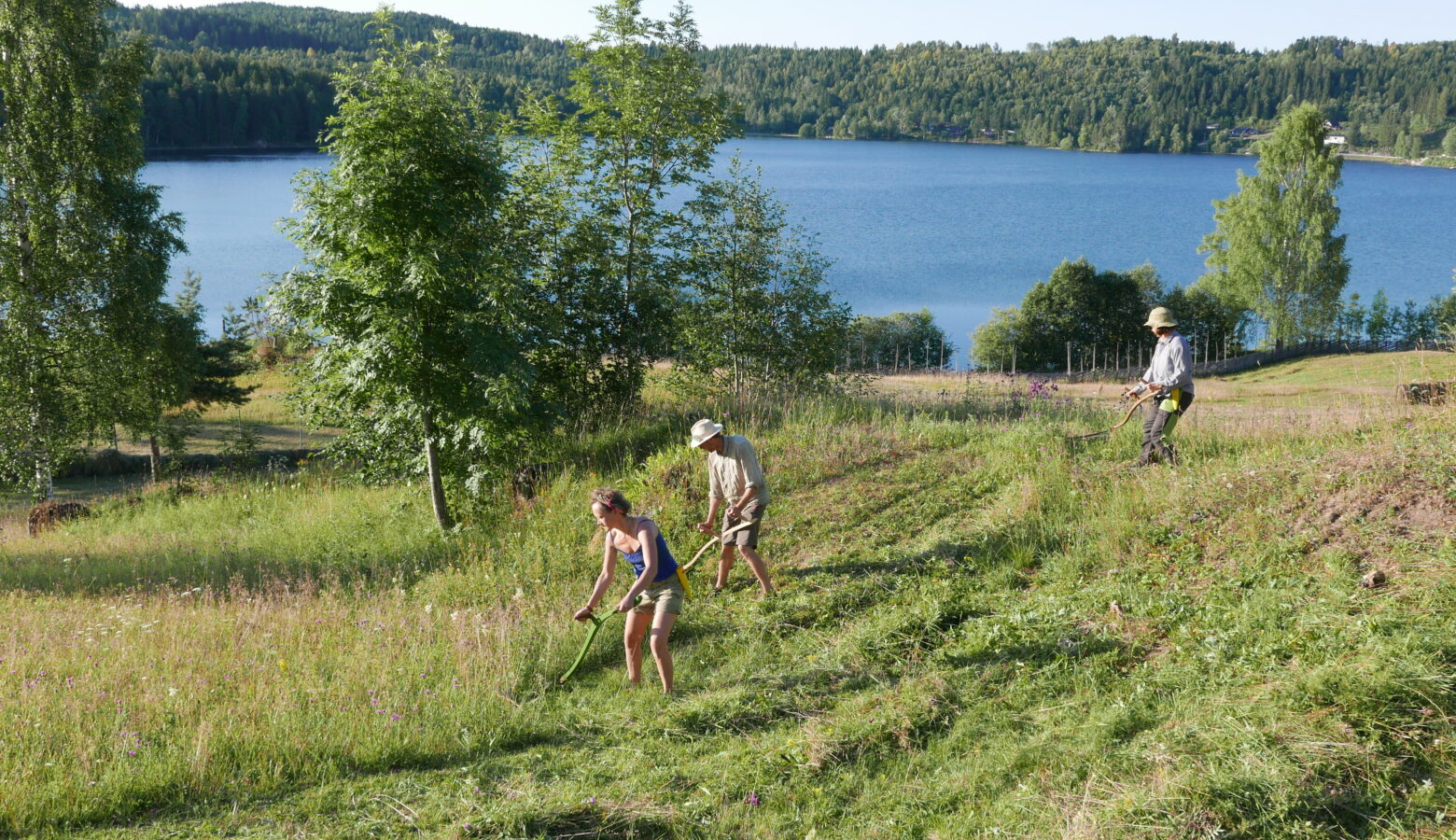 HOVEDBILDE Foto Aud Harstad Bakken