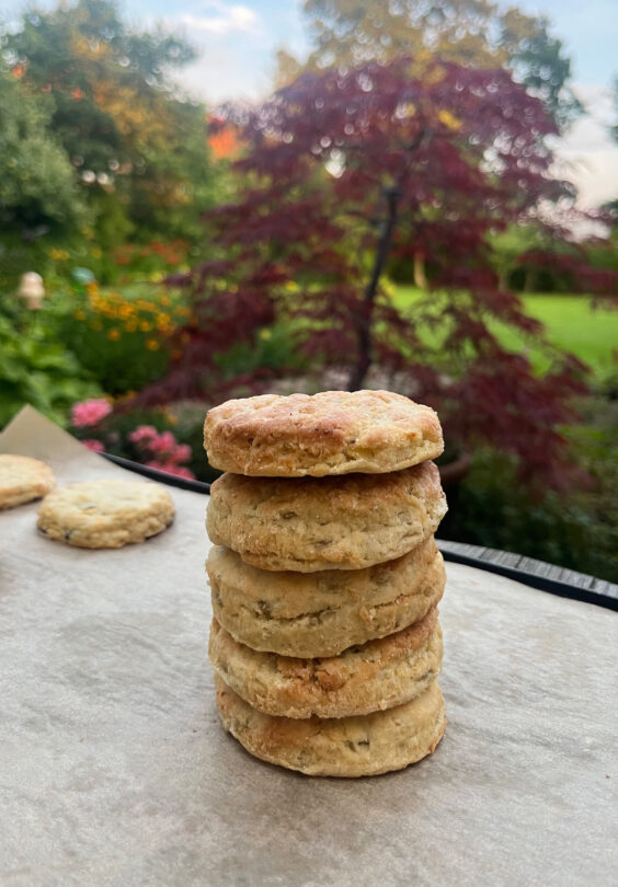 Kartoffelscones