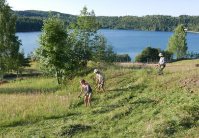 HOVEDBILDE Foto Aud Harstad Bakken