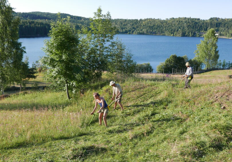 HOVEDBILDE Foto Aud Harstad Bakken